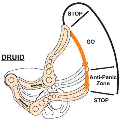 Assicuratore DRUID - immagine 2